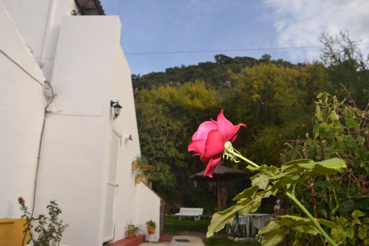 Casa La Cascada Villa El Bosque Luaran gambar